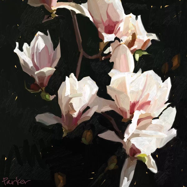 Magnolias: Magnolia Drama by Teddi Parker