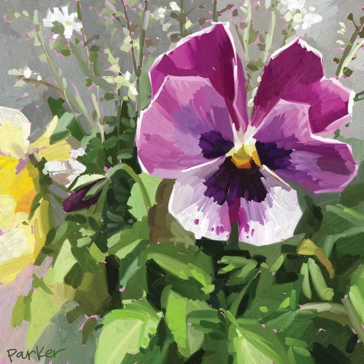 Pansy Face