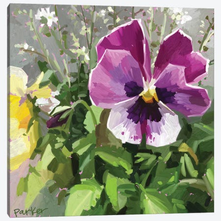 Pansy Face Canvas Print #TEP46} by Teddi Parker Canvas Wall Art