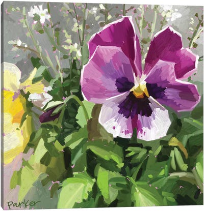 Pansy Face Canvas Art Print - Pansies
