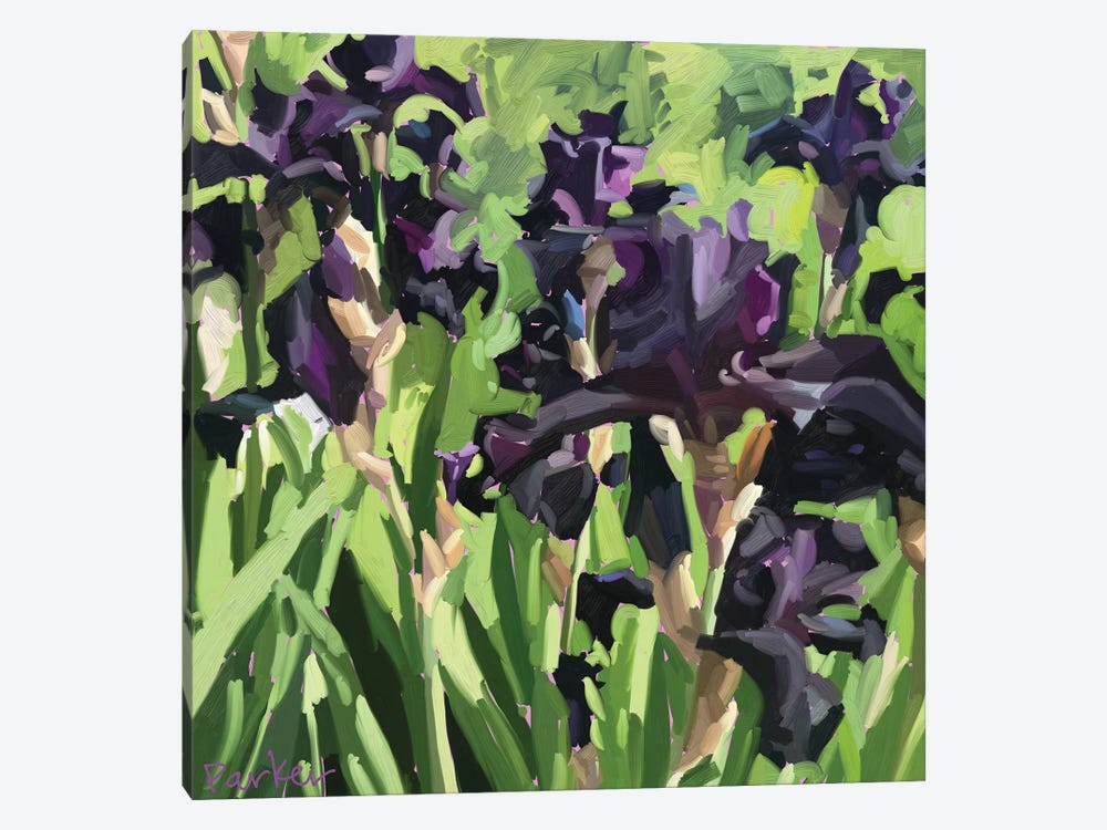 Velvet Iris by Teddi Parker 1-piece Canvas Art