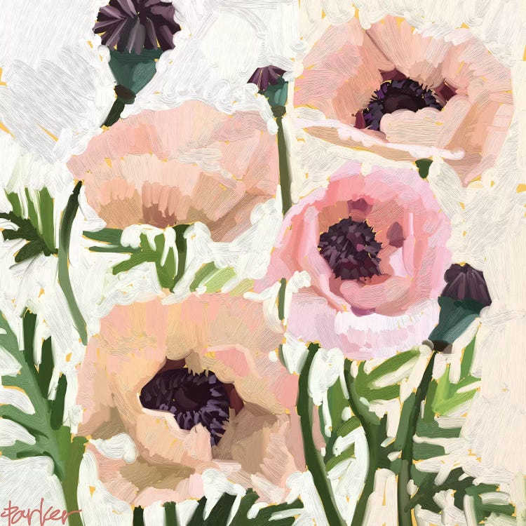 Delicate Poppies