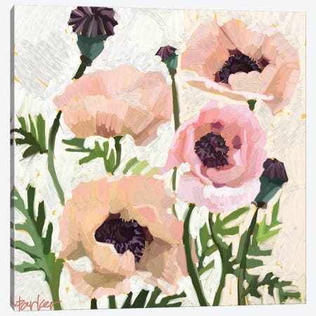 Delicate Poppies Canvas Print #TEP48} by Teddi Parker Canvas Art Print