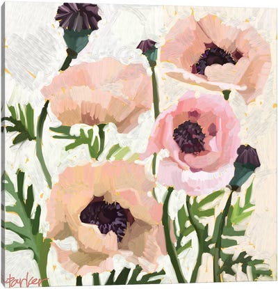 Delicate Poppies Canvas Art Print - Teddi Parker 