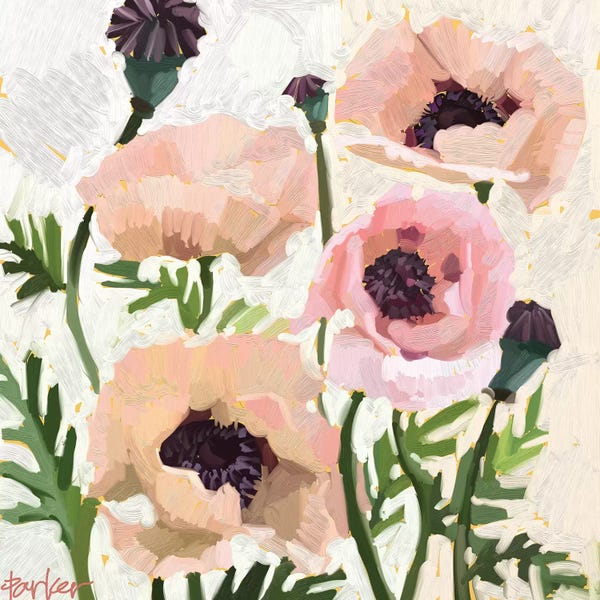 Poppies: Delicate Poppies by Teddi Parker