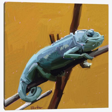 Chameleon Canvas Print #TEP4} by Teddi Parker Canvas Art