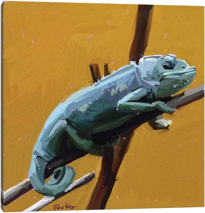 Chameleon Canvas Art Print - Teddi Parker 