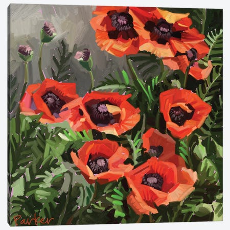 Giant Poppies Canvas Print #TEP51} by Teddi Parker Canvas Wall Art
