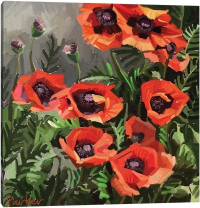 Giant Poppies Canvas Art Print - Teddi Parker 