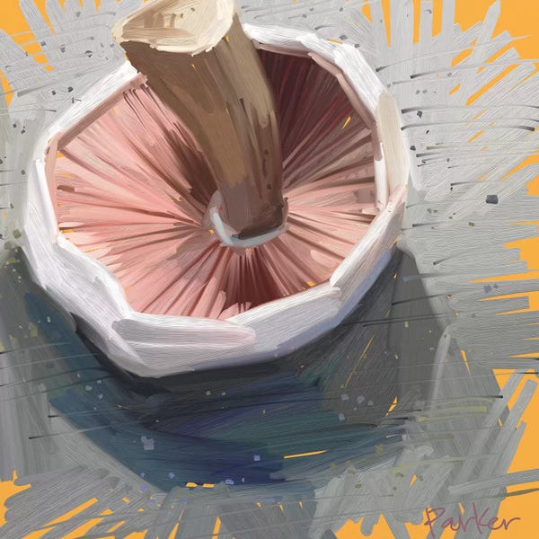 Teddi Parker: Mushroom by Teddi Parker