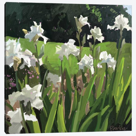 White Garden Canvas Print #TEP61} by Teddi Parker Art Print