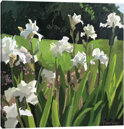 White Garden Canvas Art Print - Teddi Parker 