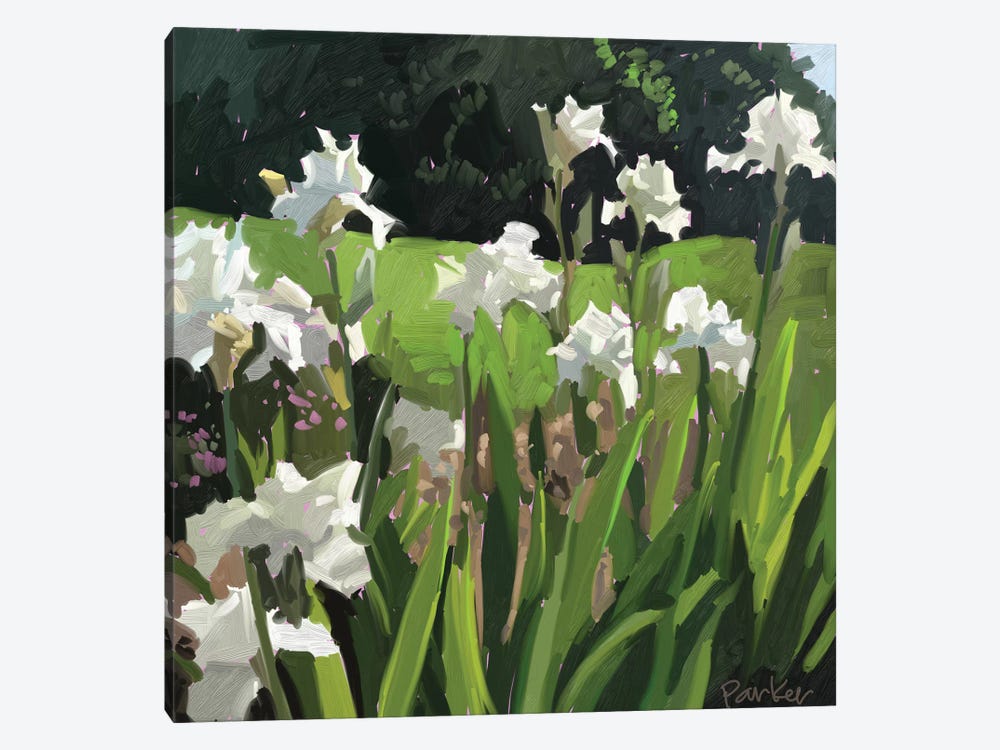 White Garden by Teddi Parker 1-piece Canvas Art