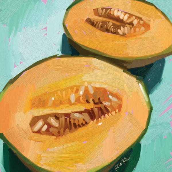 Melons: Cantaloupe by Teddi Parker