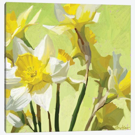 Daffodils Canvas Print #TEP7} by Teddi Parker Canvas Wall Art