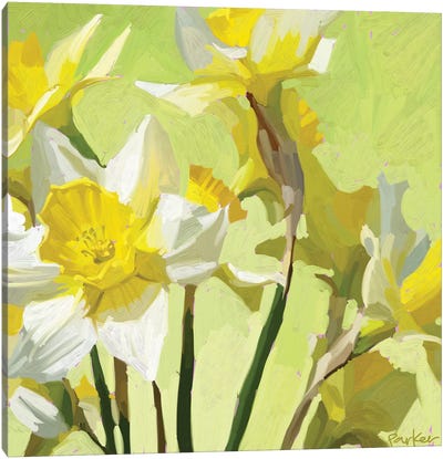 Daffodils Canvas Art Print - Pantone 2021 Ultimate Gray & Illuminating