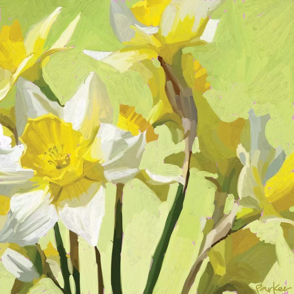 Daffodils: Daffodils by Teddi Parker