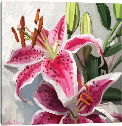 Pull Me In Close Canvas Art Print - Lily Art
