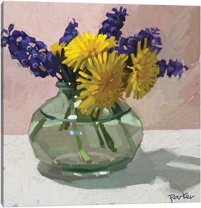 Dandelions And Hyacinth Canvas Art Print - Teddi Parker 