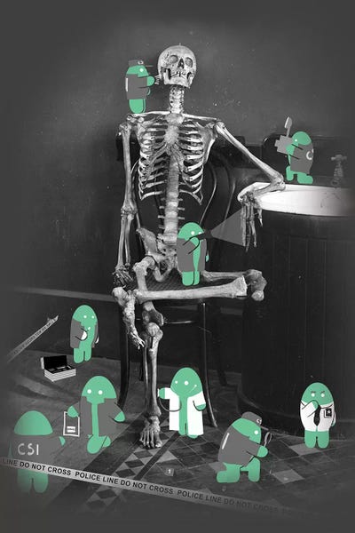 Skeletons: CSI by HandsOffMyDinosaur