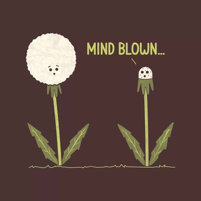 Mind Blown by HandsOffMyDinosaur canvas print