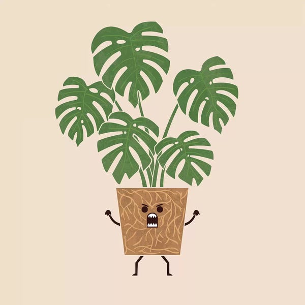 Monsteras: Monstera by HandsOffMyDinosaur