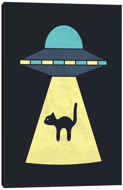 We Just Want The Cat Canvas Art Print - UFO Art