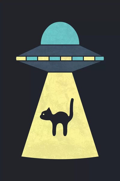 UFOs: We Just Want The Cat by HandsOffMyDinosaur