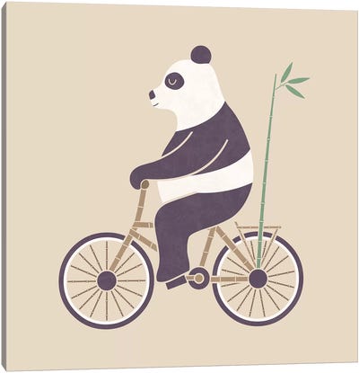 Bamboo Bicycle Canvas Art Print - Panda Art