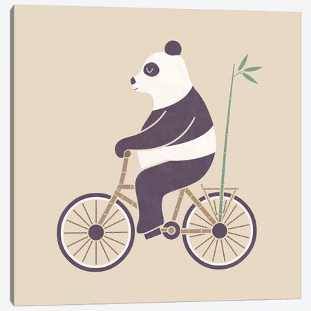 Bamboo Bicycle Canvas Print #TEZ6} by HandsOffMyDinosaur Canvas Wall Art
