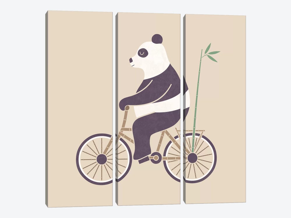 Bamboo Bicycle by HandsOffMyDinosaur 3-piece Canvas Art Print