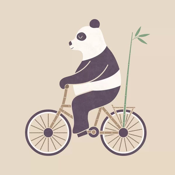 Pandas: Bamboo Bicycle by HandsOffMyDinosaur
