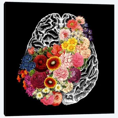 Love Your Brain Canvas Print #TFA1005} by Tobias Fonseca Canvas Art Print