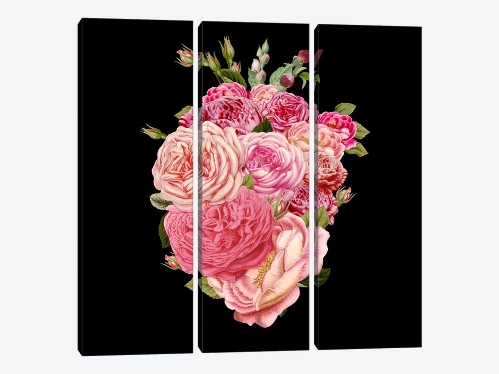 Mothers Heart Roses by Tobias Fonseca 3-piece Canvas Artwork