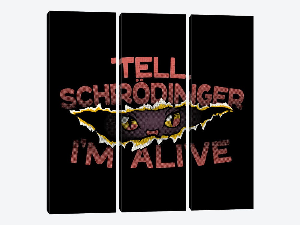 Tell Schrödinger I'm Alive by Tobias Fonseca 3-piece Canvas Wall Art