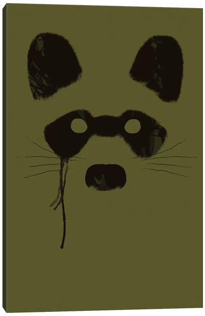 Raccoon Canvas Art Print - Tobias Fonseca