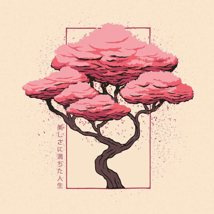 Sakura Blossom