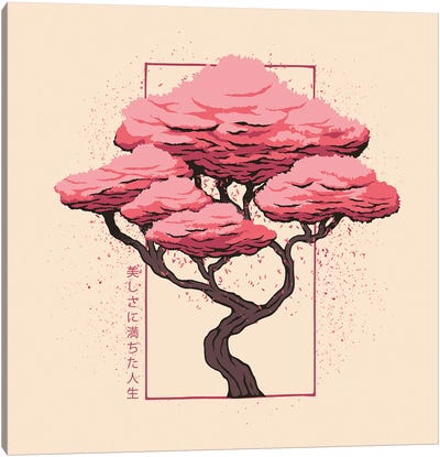 Sakura Blossom Canvas Art Print - Tobias Fonseca