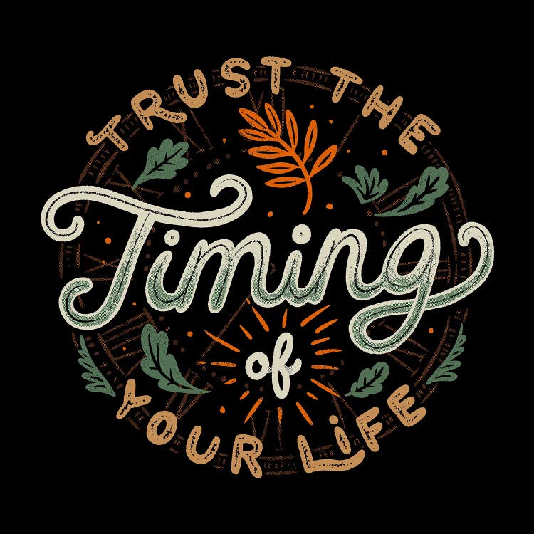 Trust The Timing Of You Life