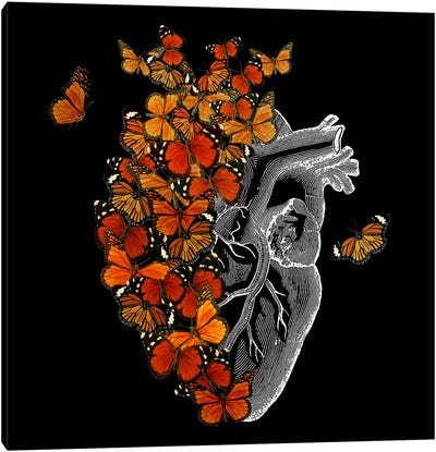 Monarch Butterfly Heart Canvas Art Print - Insect & Bug Art