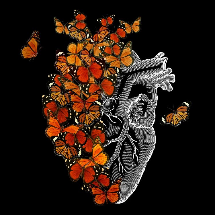 Monarch Butterfly Heart by Tobias Fonseca wall art