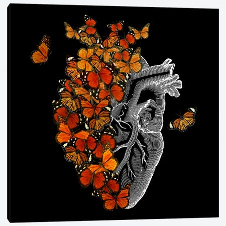 Monarch Butterfly Heart Canvas Print #TFA1135} by Tobias Fonseca Art Print