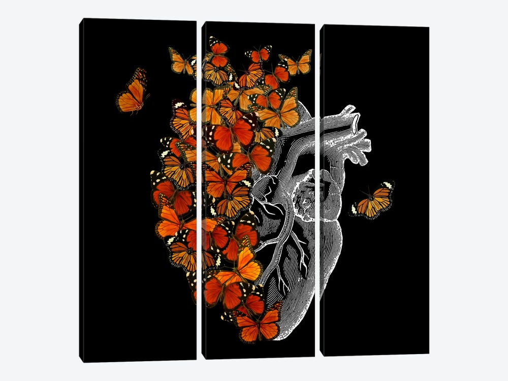 Monarch Butterfly Heart by Tobias Fonseca 3-piece Canvas Print