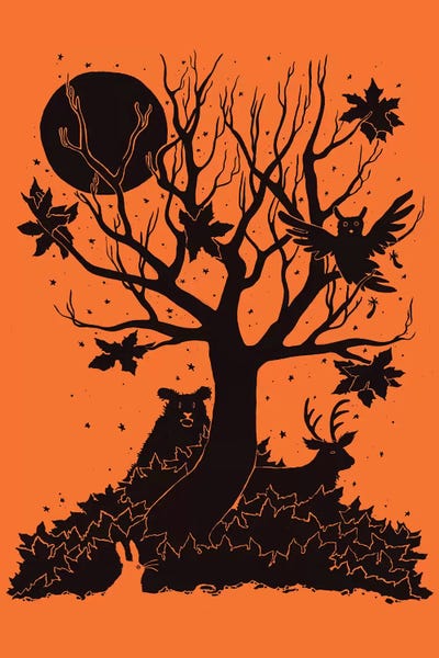 Tobias Fonseca: Autumn Forest by Tobias Fonseca