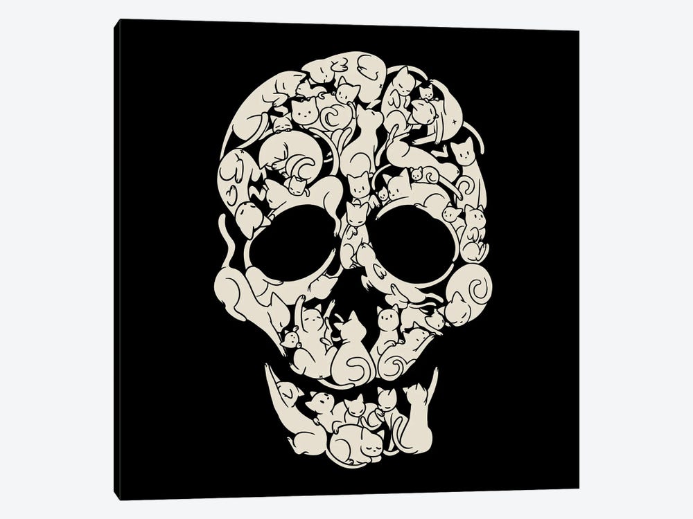 Cat Skeleton Skull by Tobias Fonseca 1-piece Canvas Art