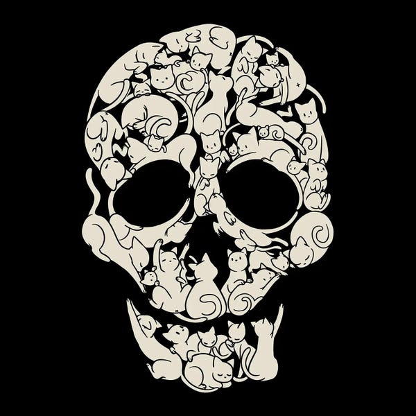 Cat Skeleton Skull
