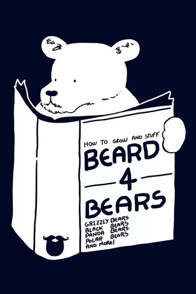 Kids Educational Art: Beard For Bears by Tobias Fonseca