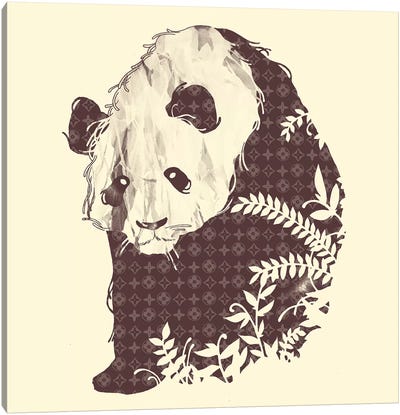 Brand New Panda Canvas Art Print - Panda Art