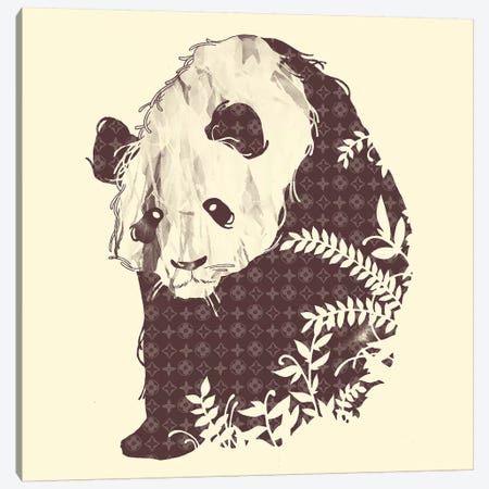 Brand New Panda Canvas Print #TFA120} by Tobias Fonseca Canvas Artwork
