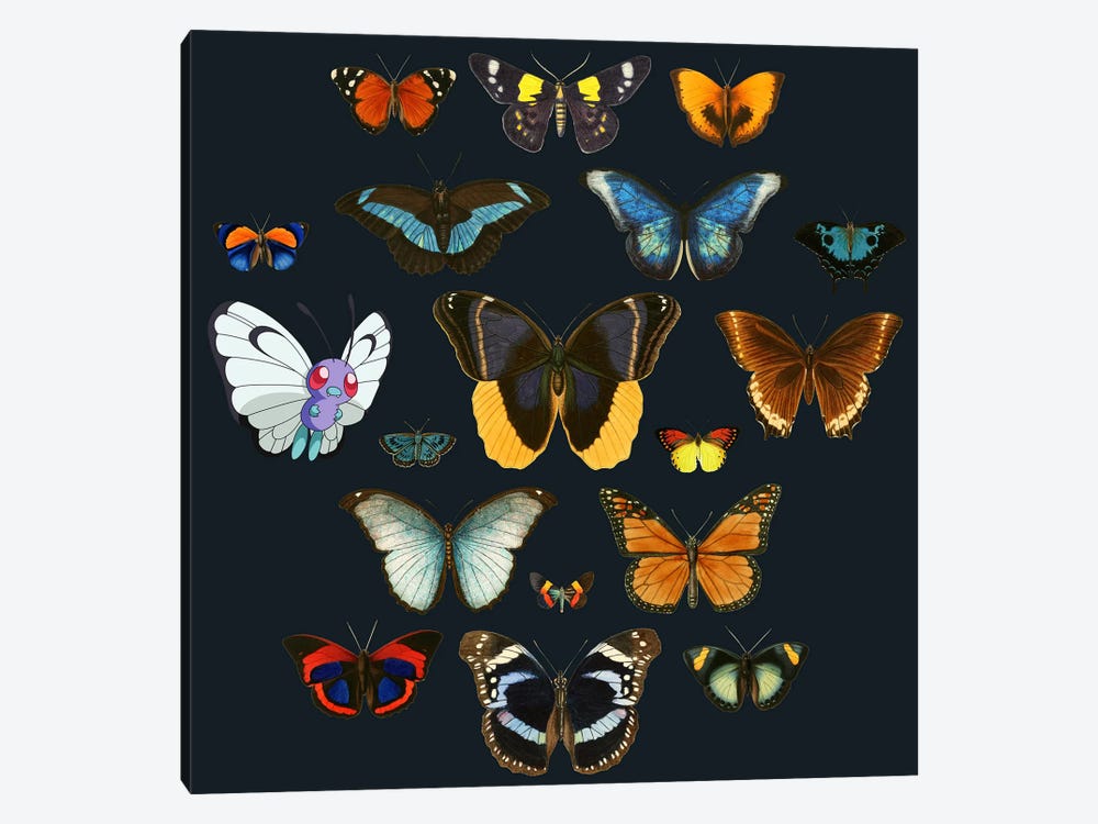 Entomology by Tobias Fonseca 1-piece Canvas Art Print